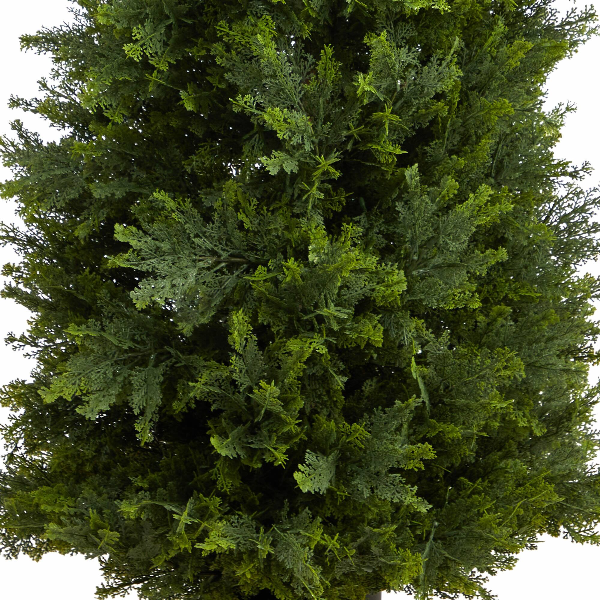 5.5ft. Potted Cypress Cone Topiary Tree